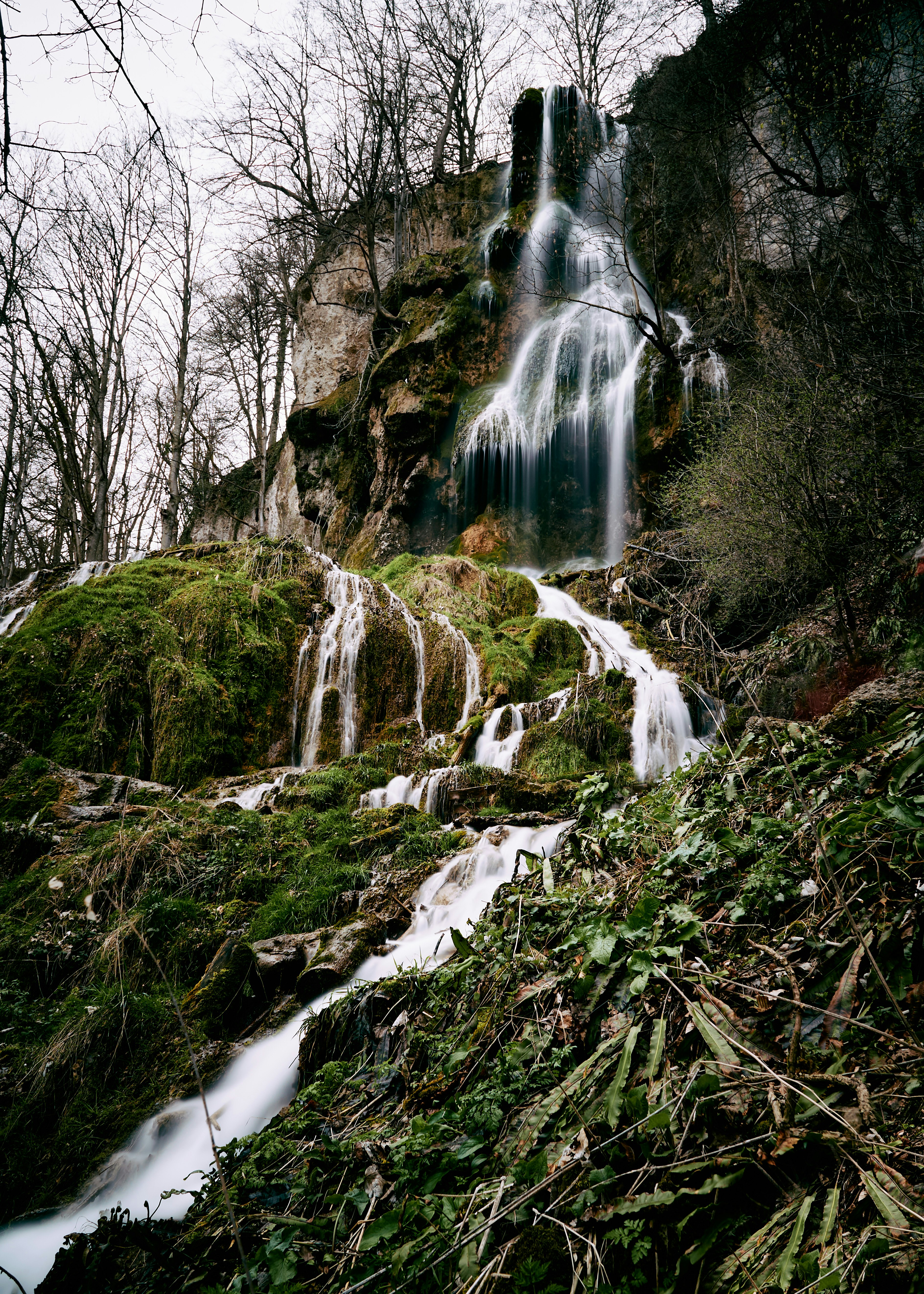 water falls in the middle of the forest